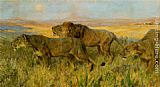 Arthur Wardle Canvas Paintings - Lions sunset